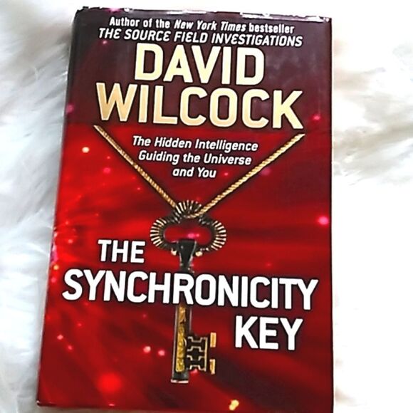 The Synchronicity Key hardcover book David Wilcox - Picture 2 of 12
